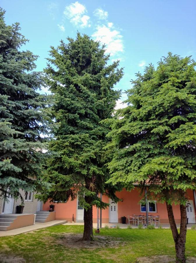 Dumalux Apartment Subotica Dış mekan fotoğraf